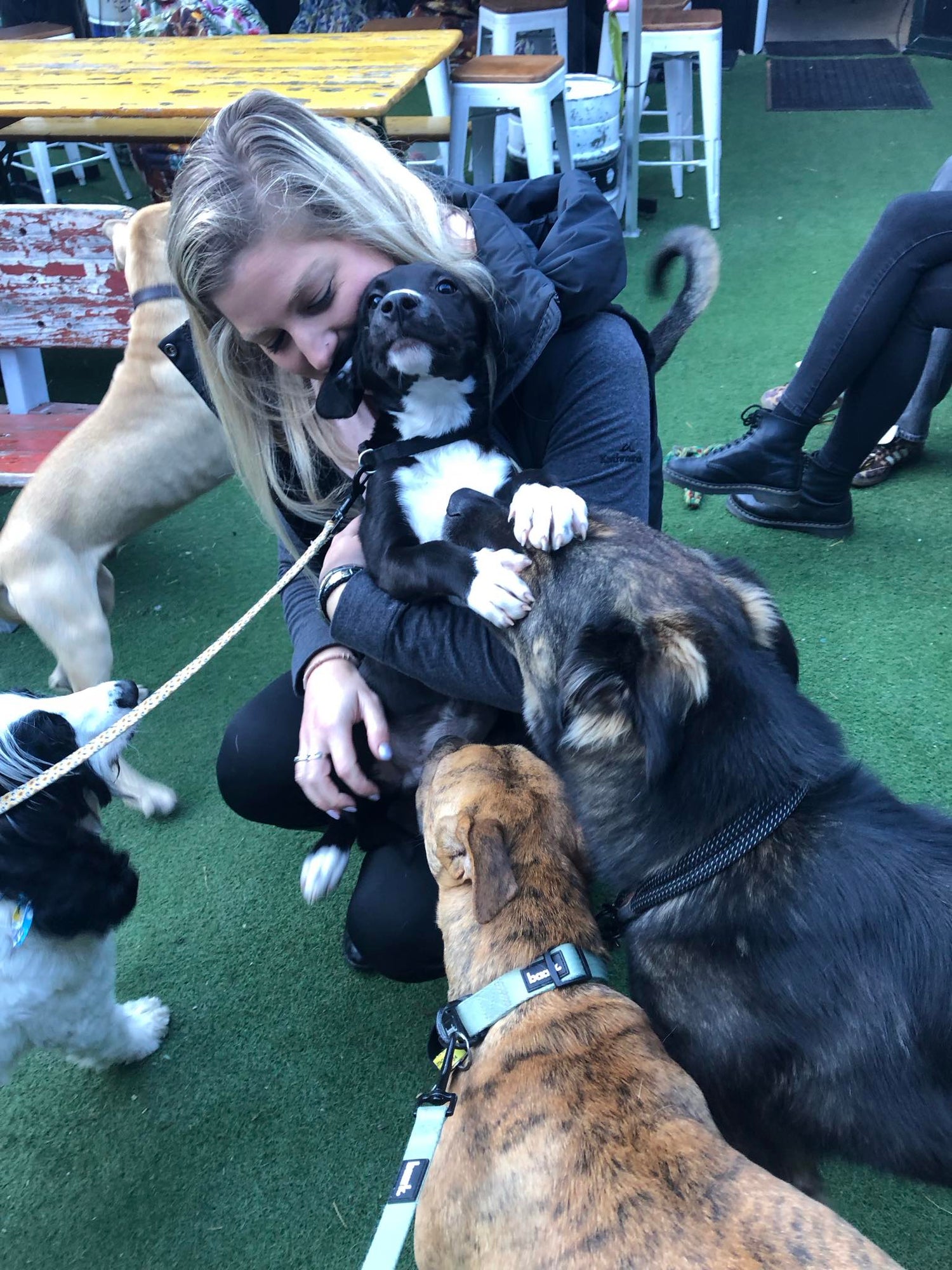 Bark & Brews