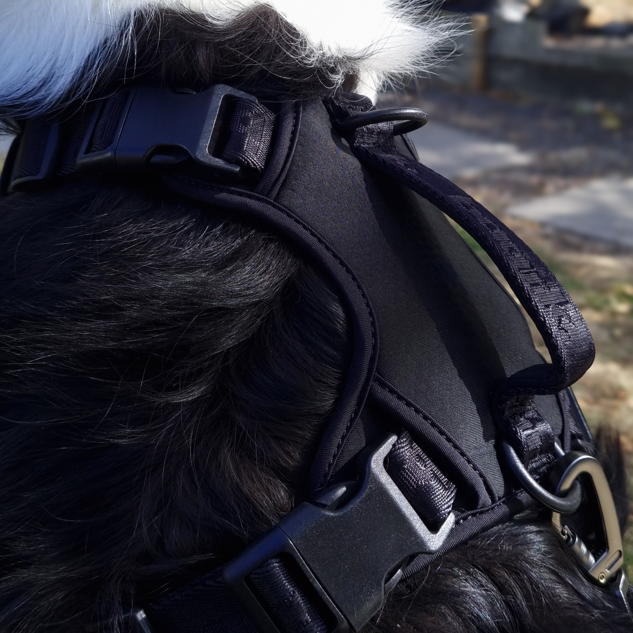 True Impression Harness