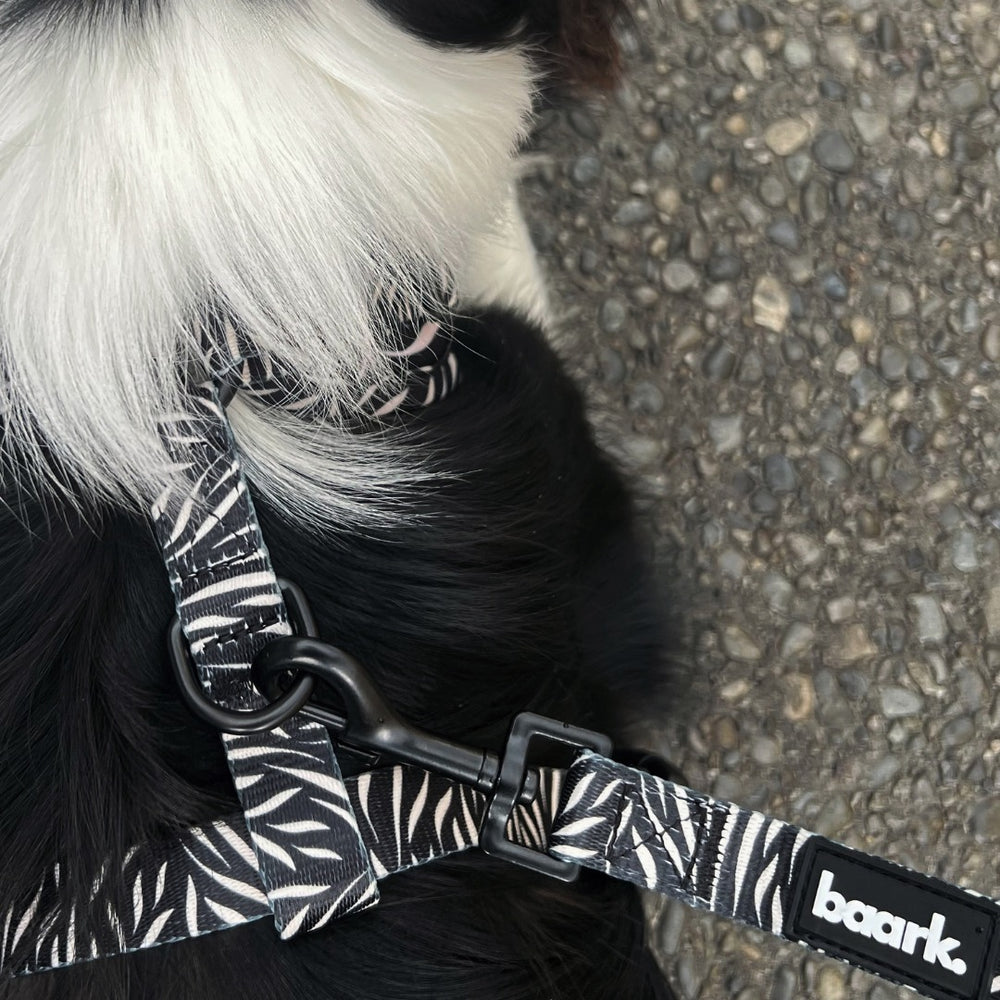 Untamed Harness