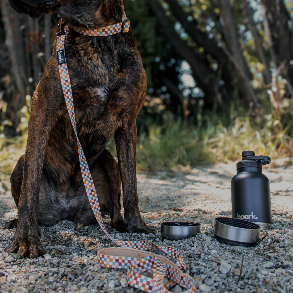Rustic Check Lead