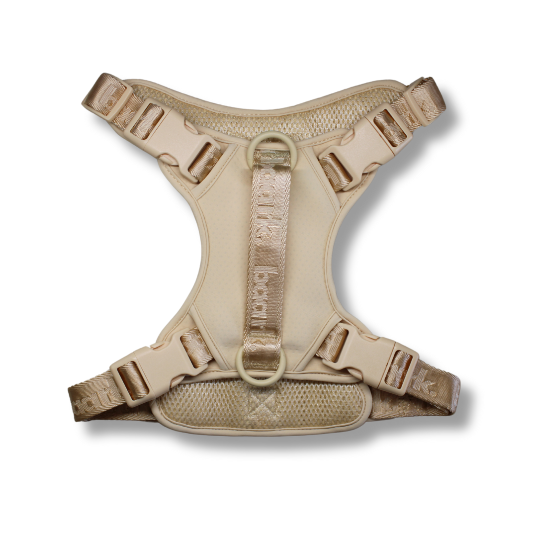 True Impression Harness