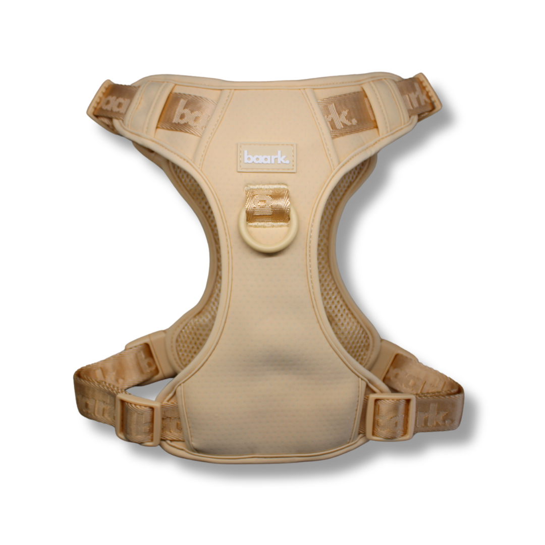 True Impression Harness