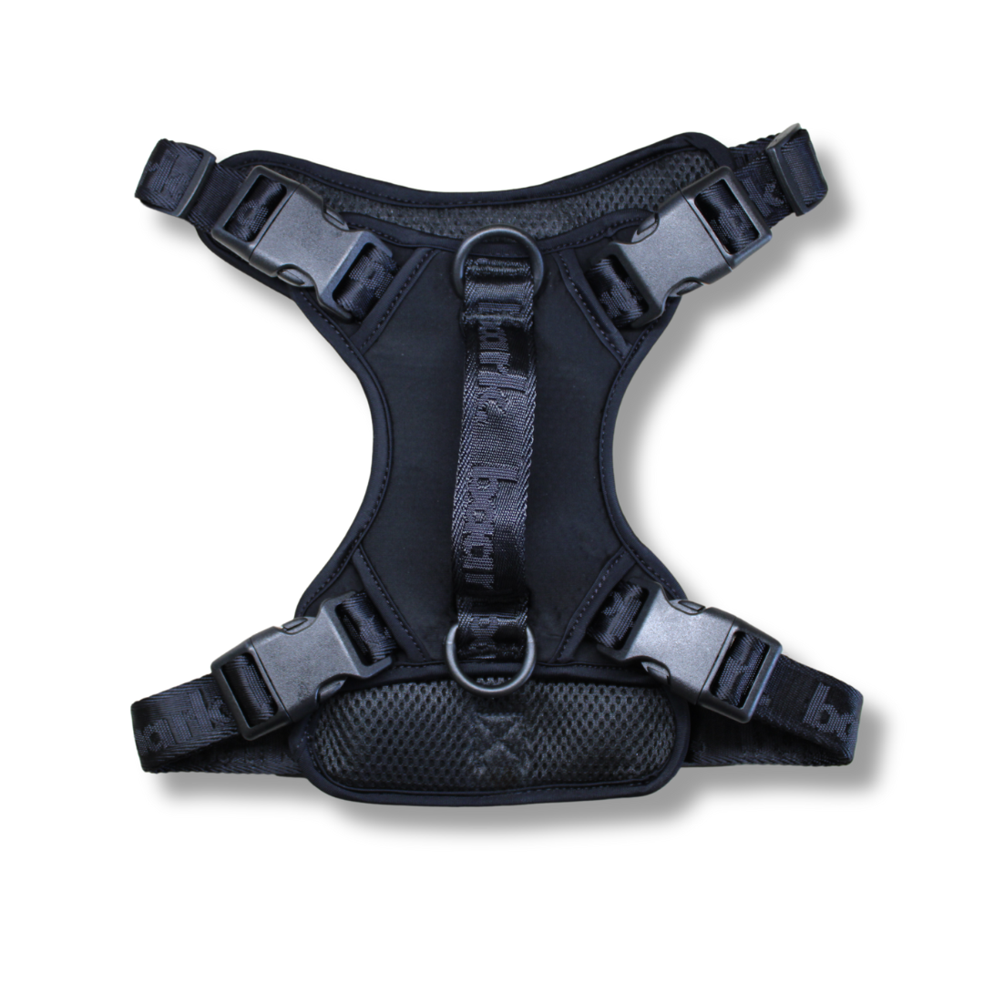 True Impression Harness