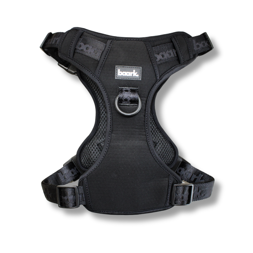 True Impression Harness