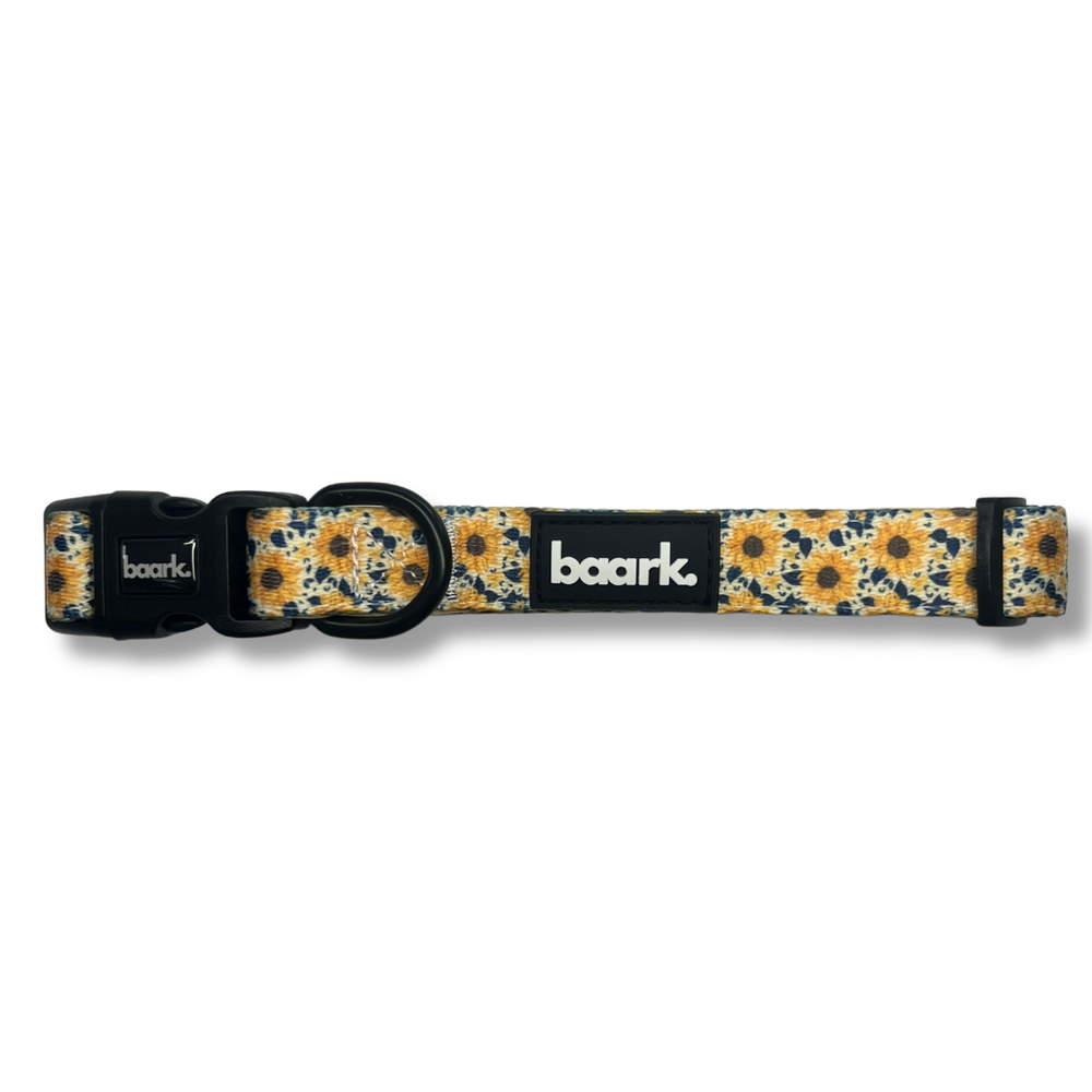 Sunflower Collar