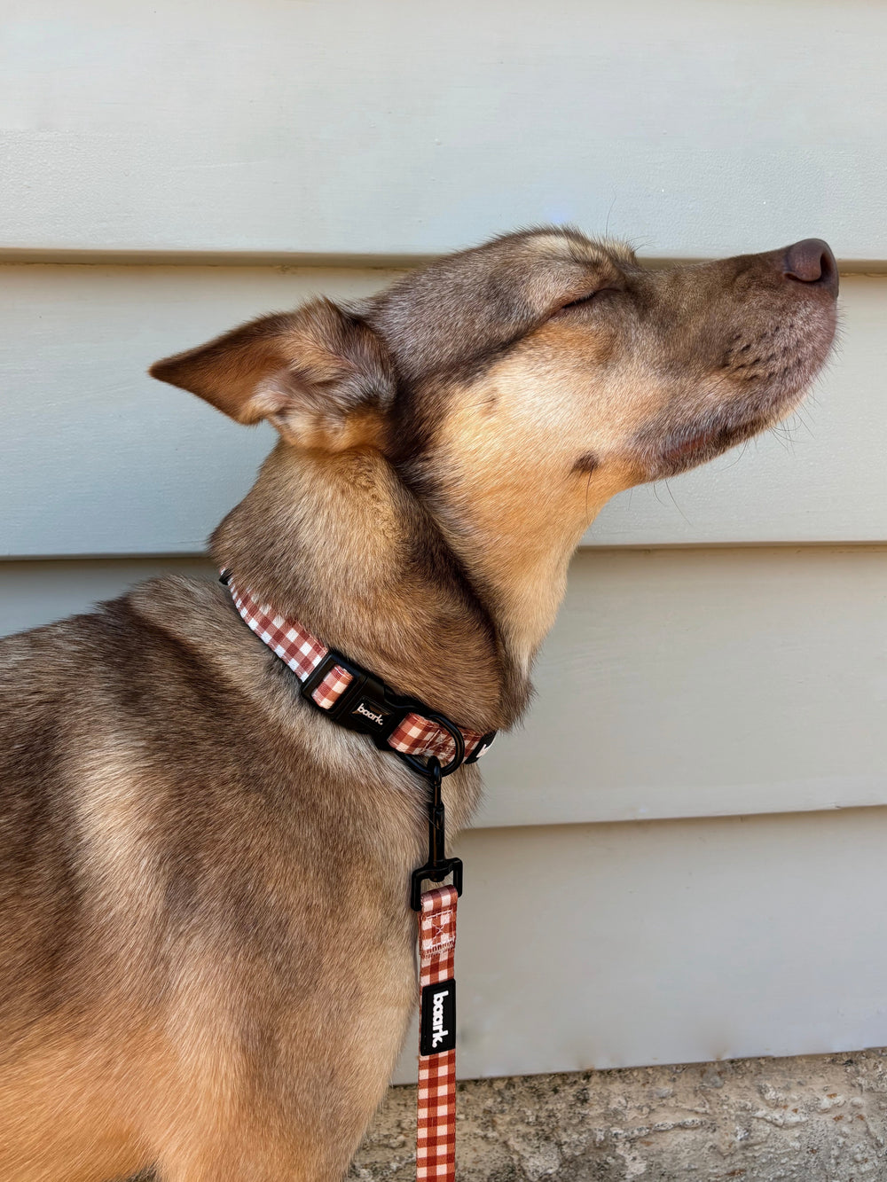Desert Flannel Collar