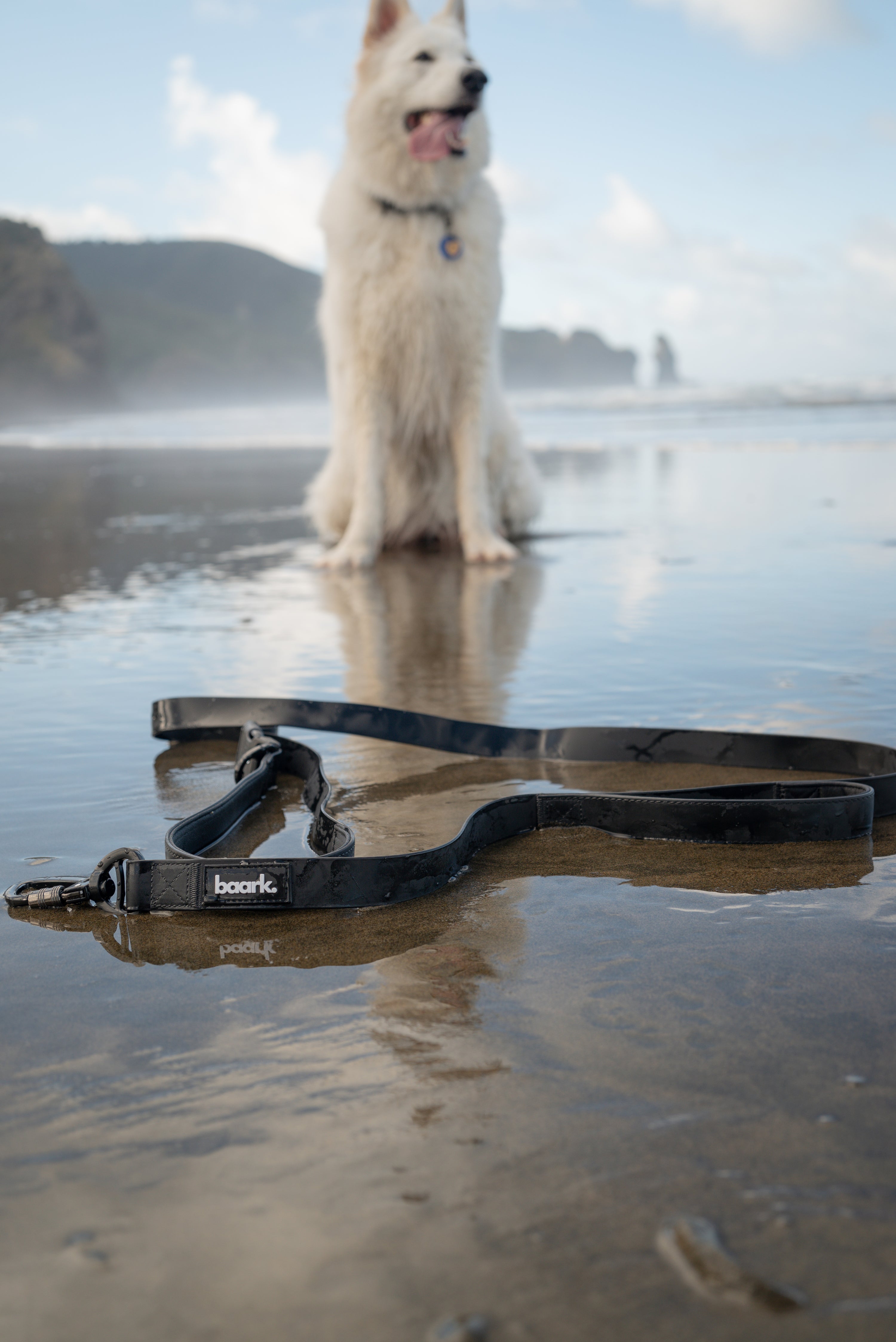 Hands-Free Waterproof Lead