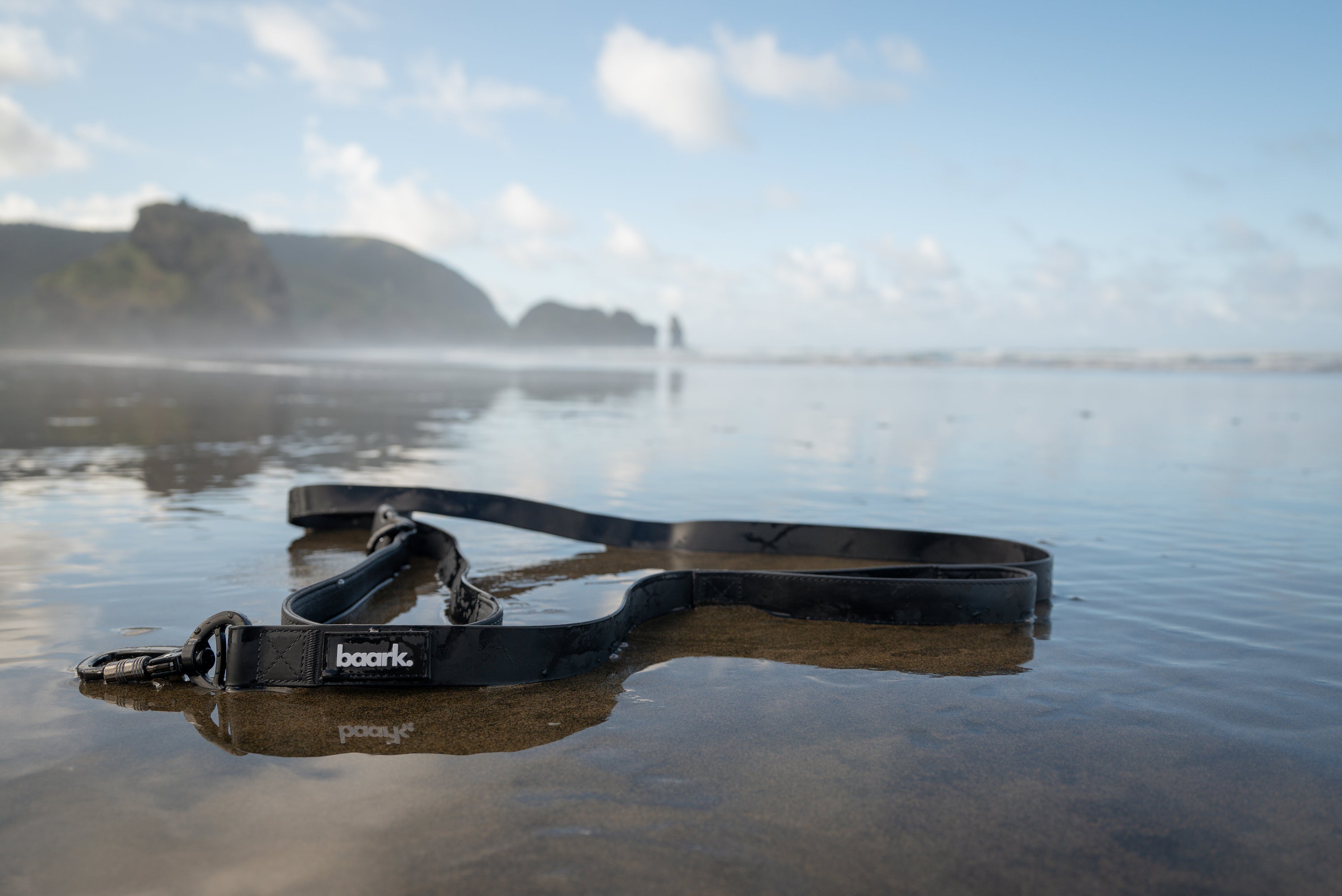 Hands-Free Waterproof Lead