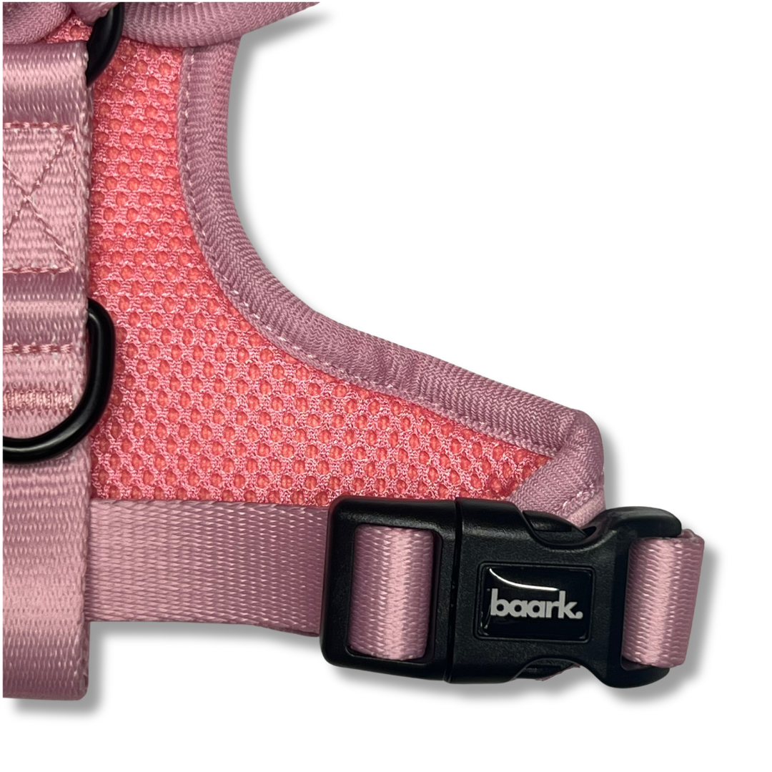 Pretty Pink Harness - FINAL SALE