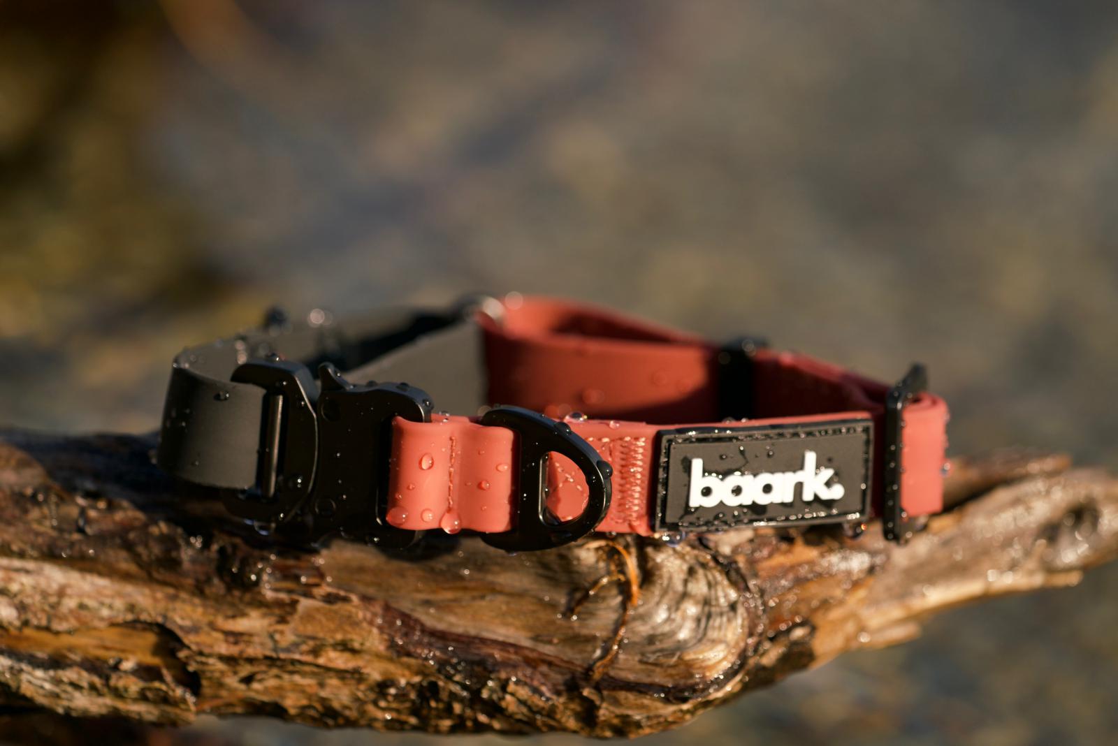ProControl Waterproof Collar