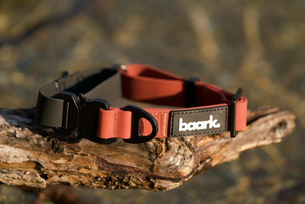 ProControl Waterproof Collar