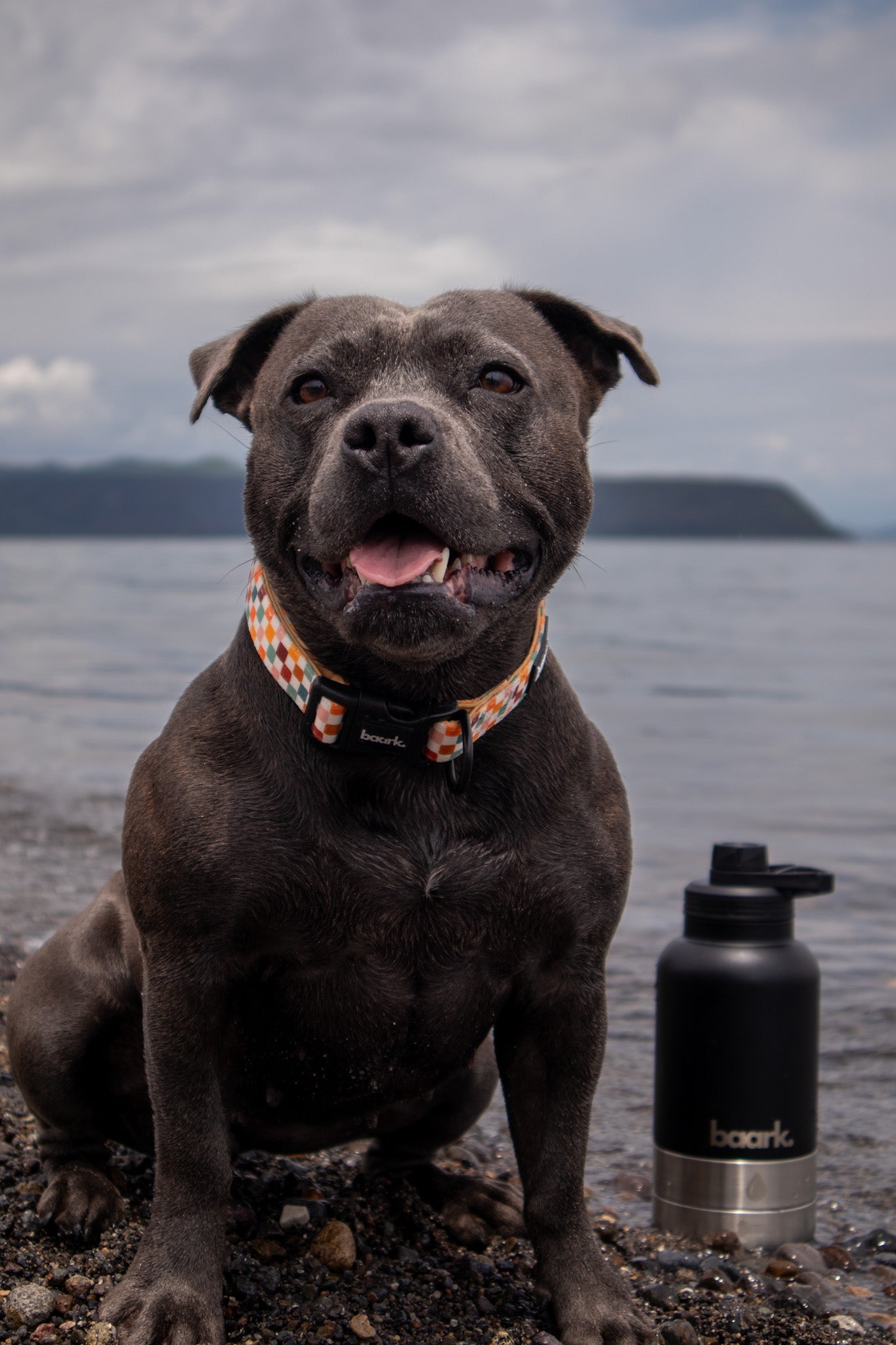 Rustic Check Collar