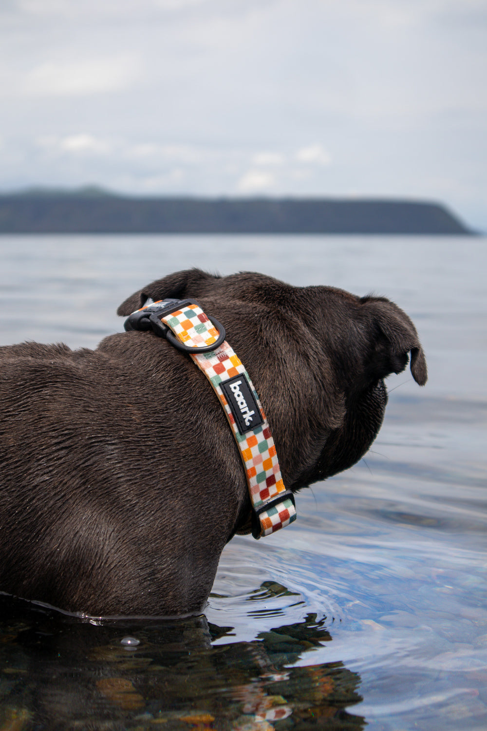 Rustic Check Collar