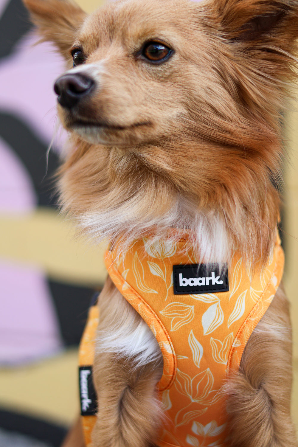 Citrus Bloom Harness - FINAL SALE