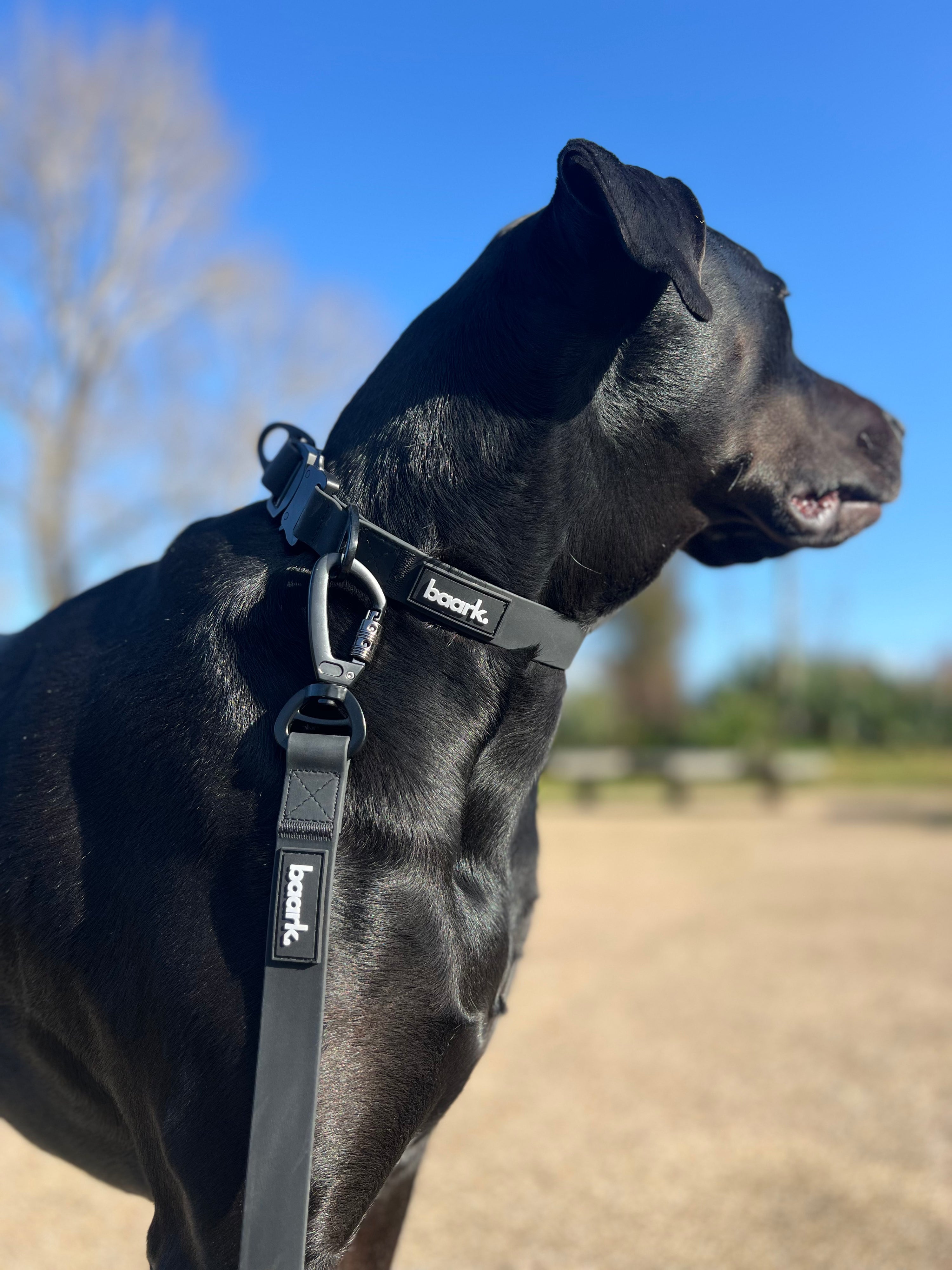 Hands-Free Waterproof Lead