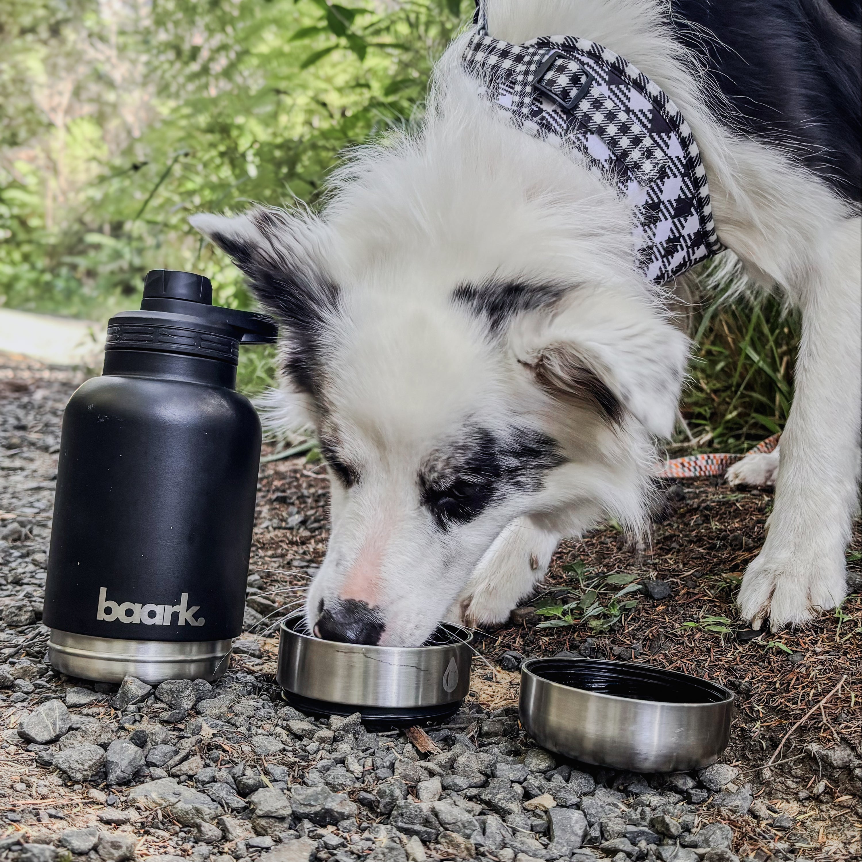 Tri-Twist Adventure Water Bottle