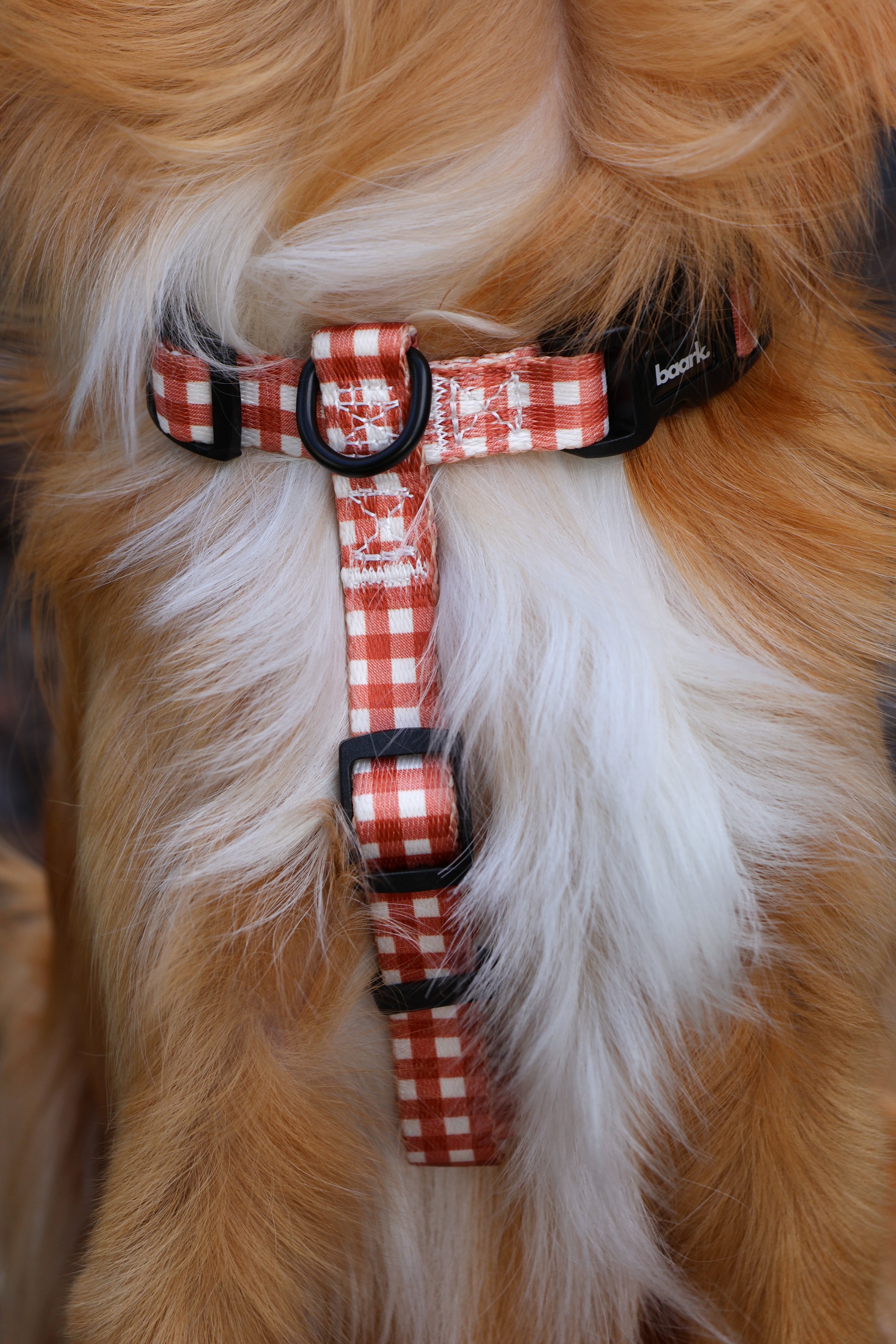 Desert Flannel H-Style Harness