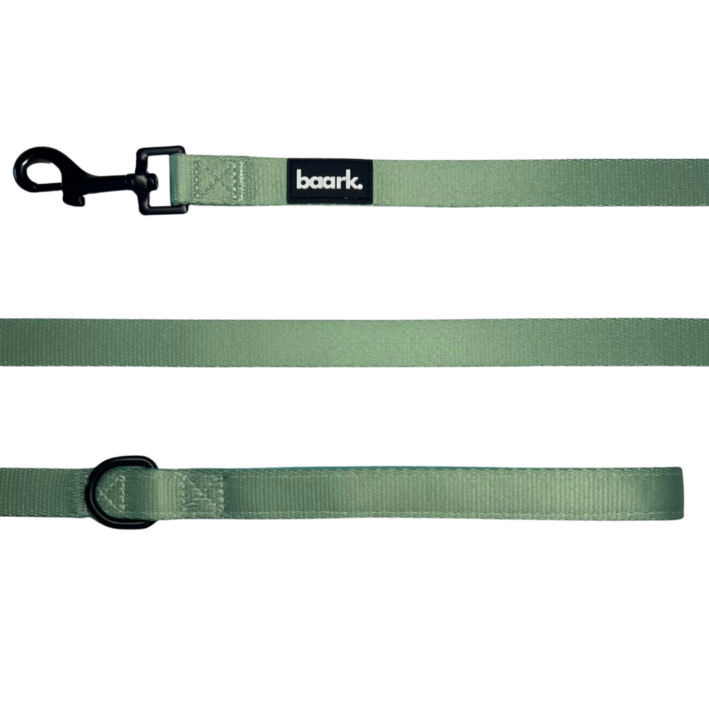 Cool Mint Lead - FINAL SALE