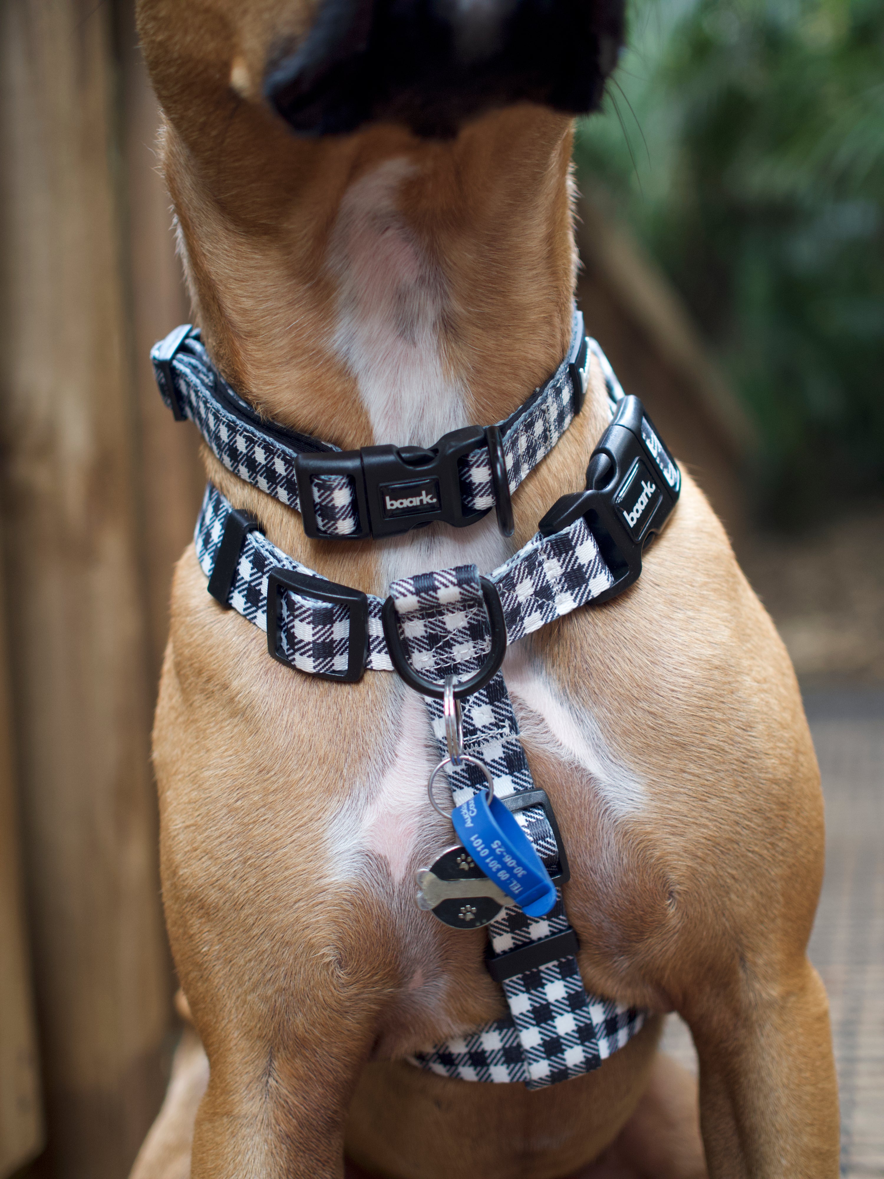 Checkmate H-Style Harness