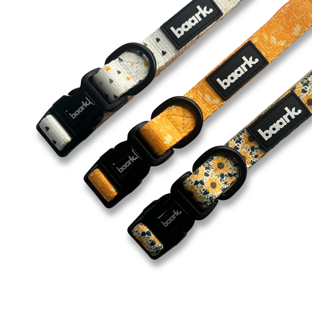Citrus Bloom Collar - FINAL SALE