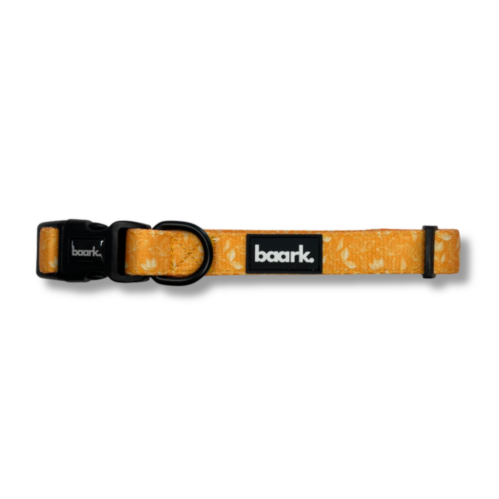 Citrus Bloom Collar - FINAL SALE