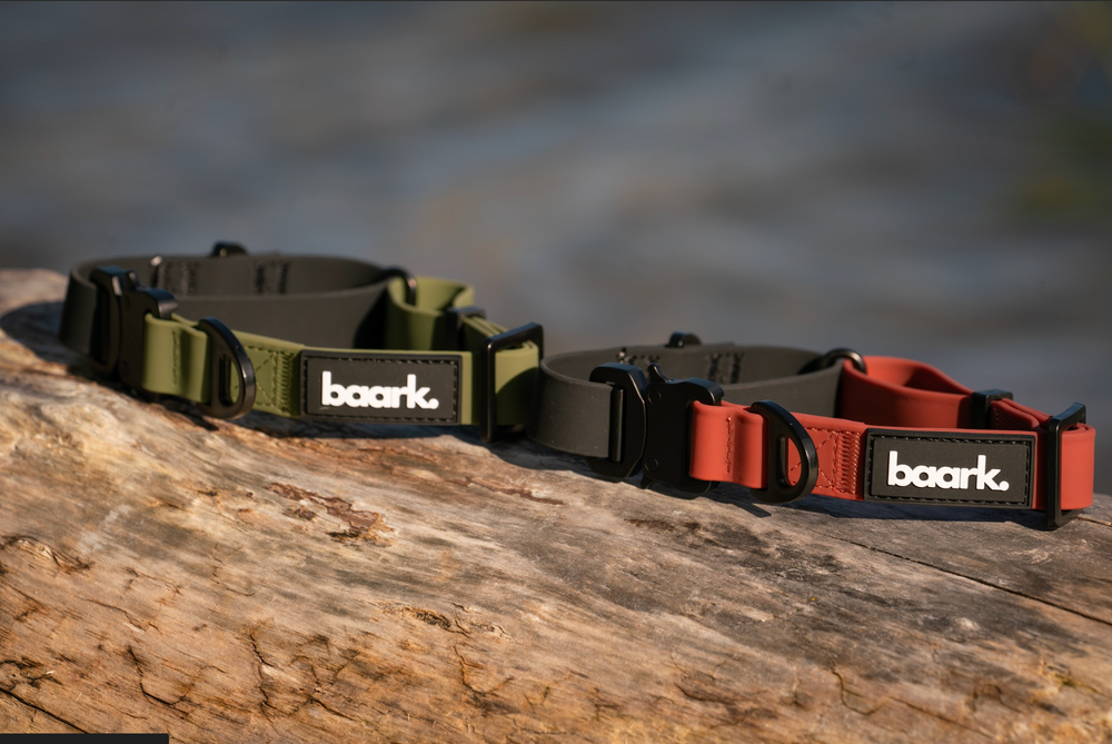 ProControl Waterproof Collar