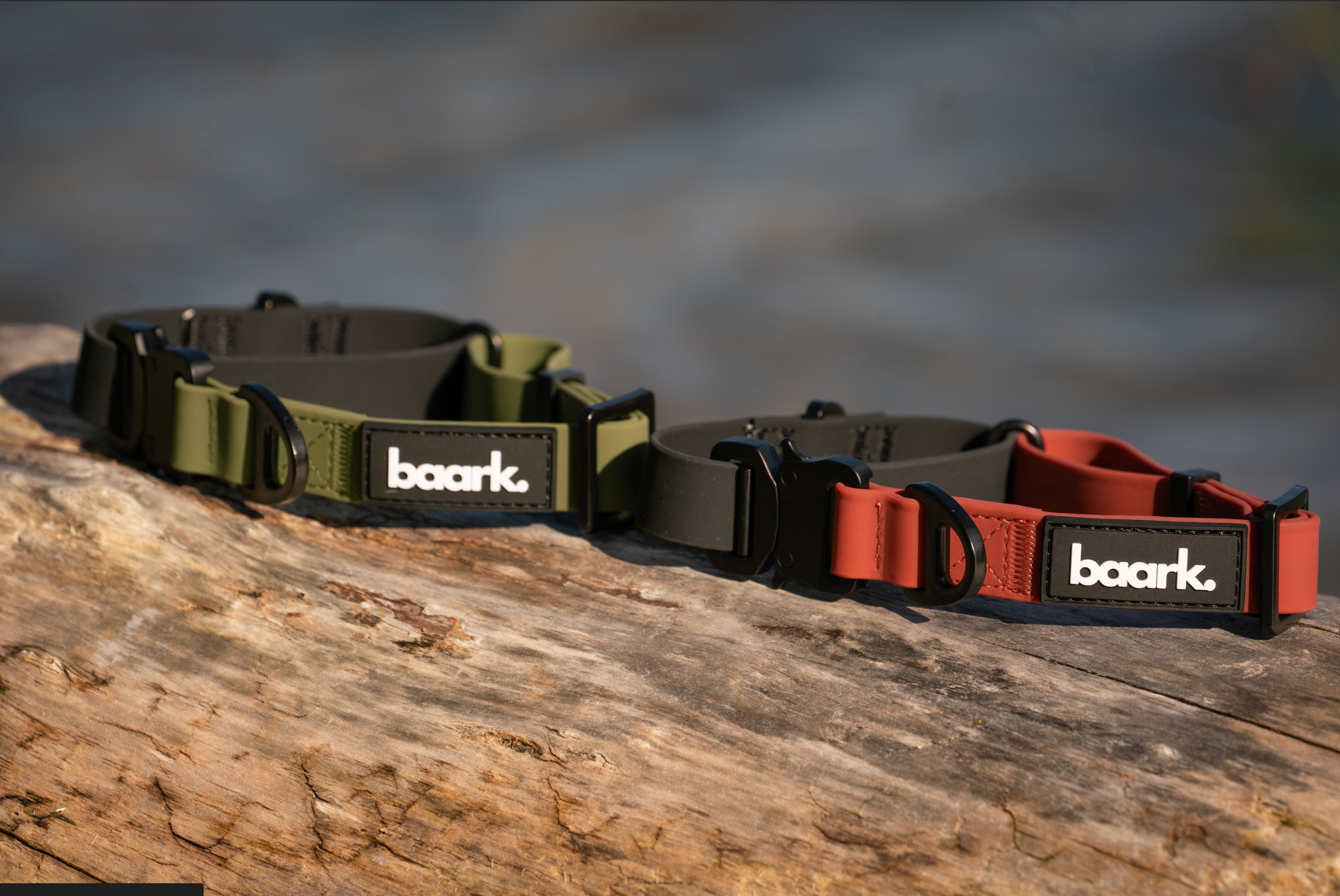 ProControl Waterproof Collar