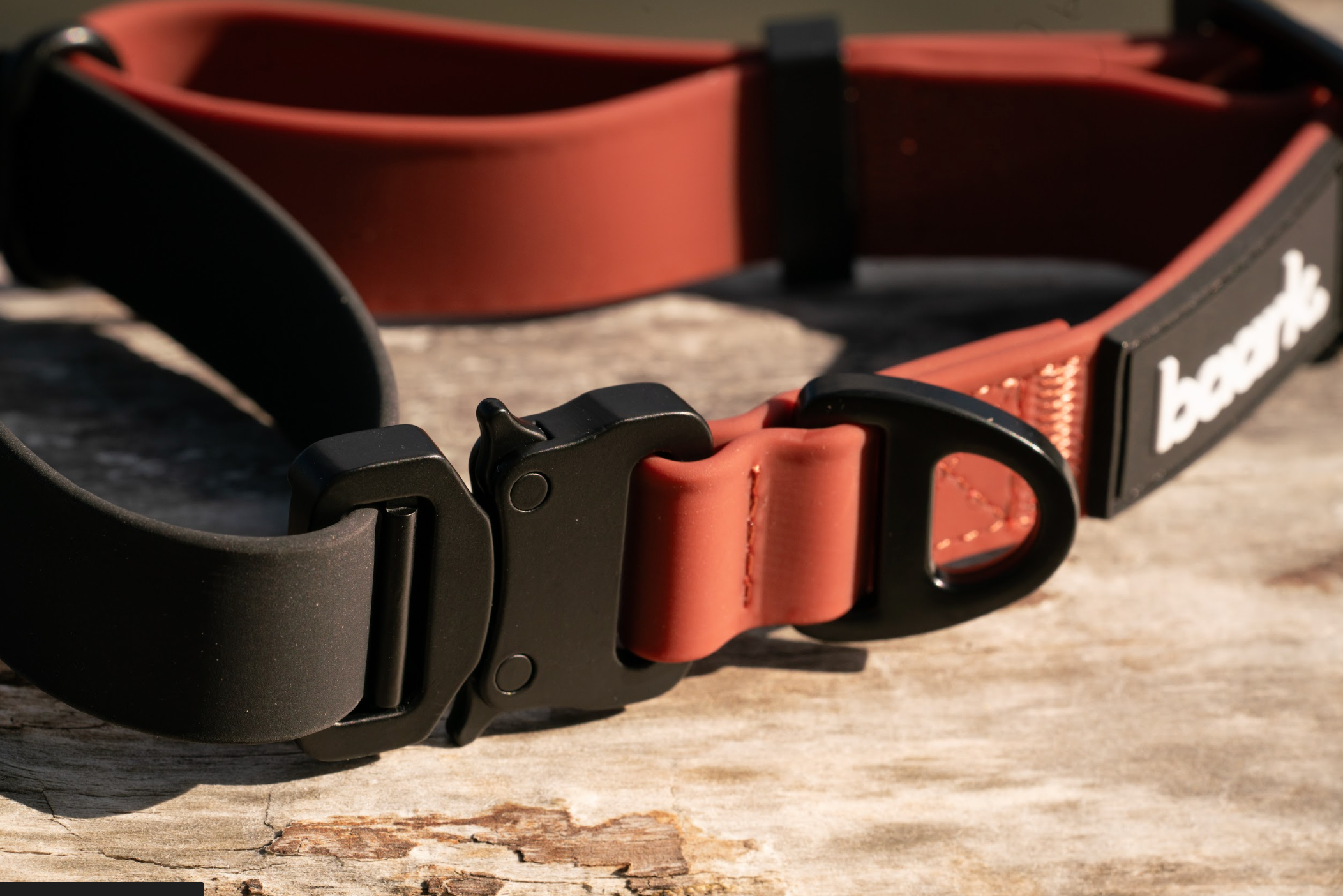 ProControl Waterproof Collar