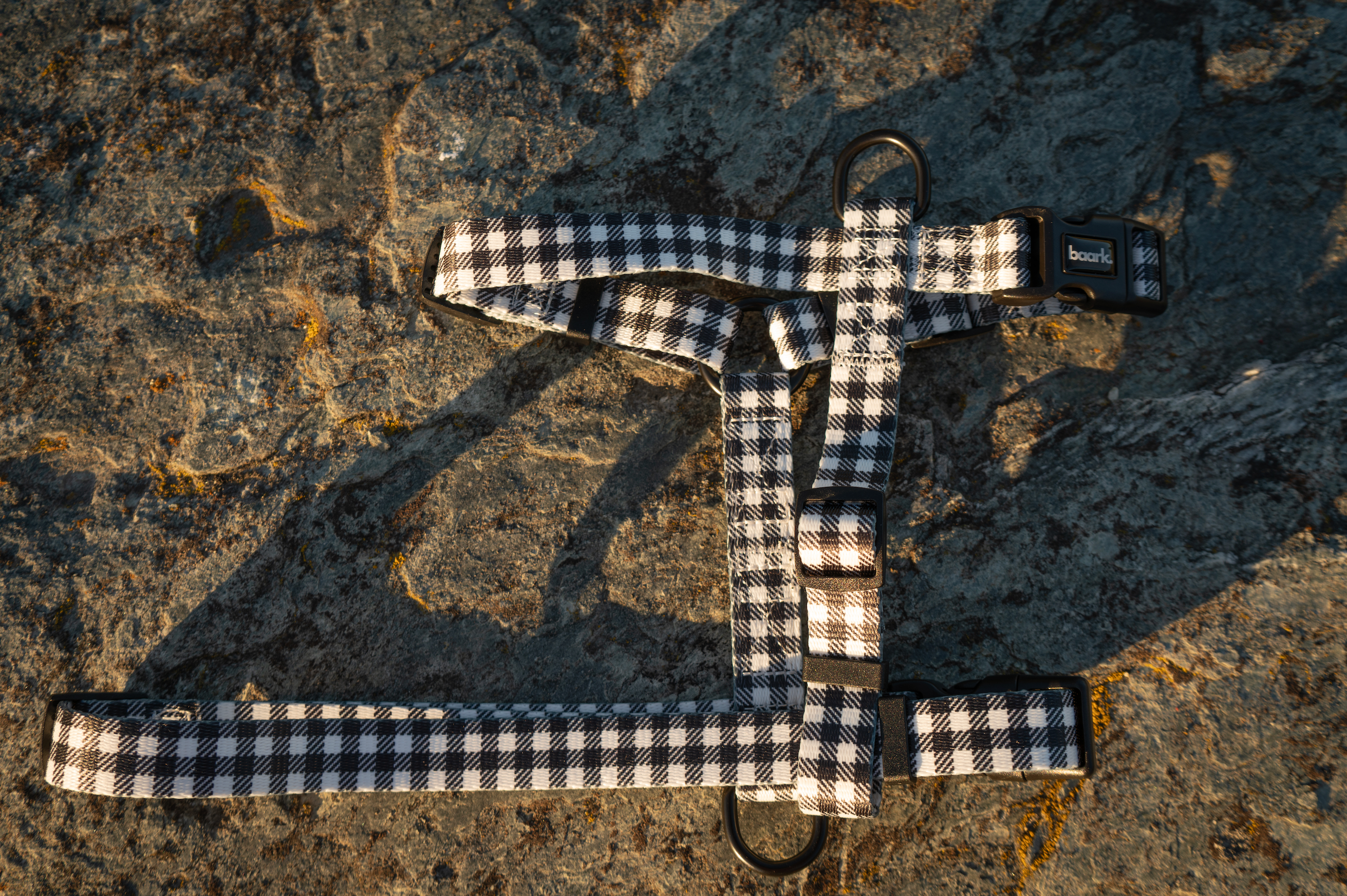 Checkmate H-Style Harness