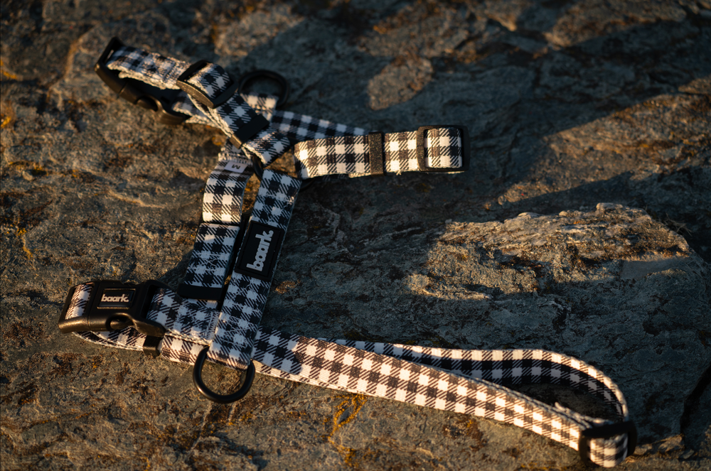Checkmate H-Style Harness