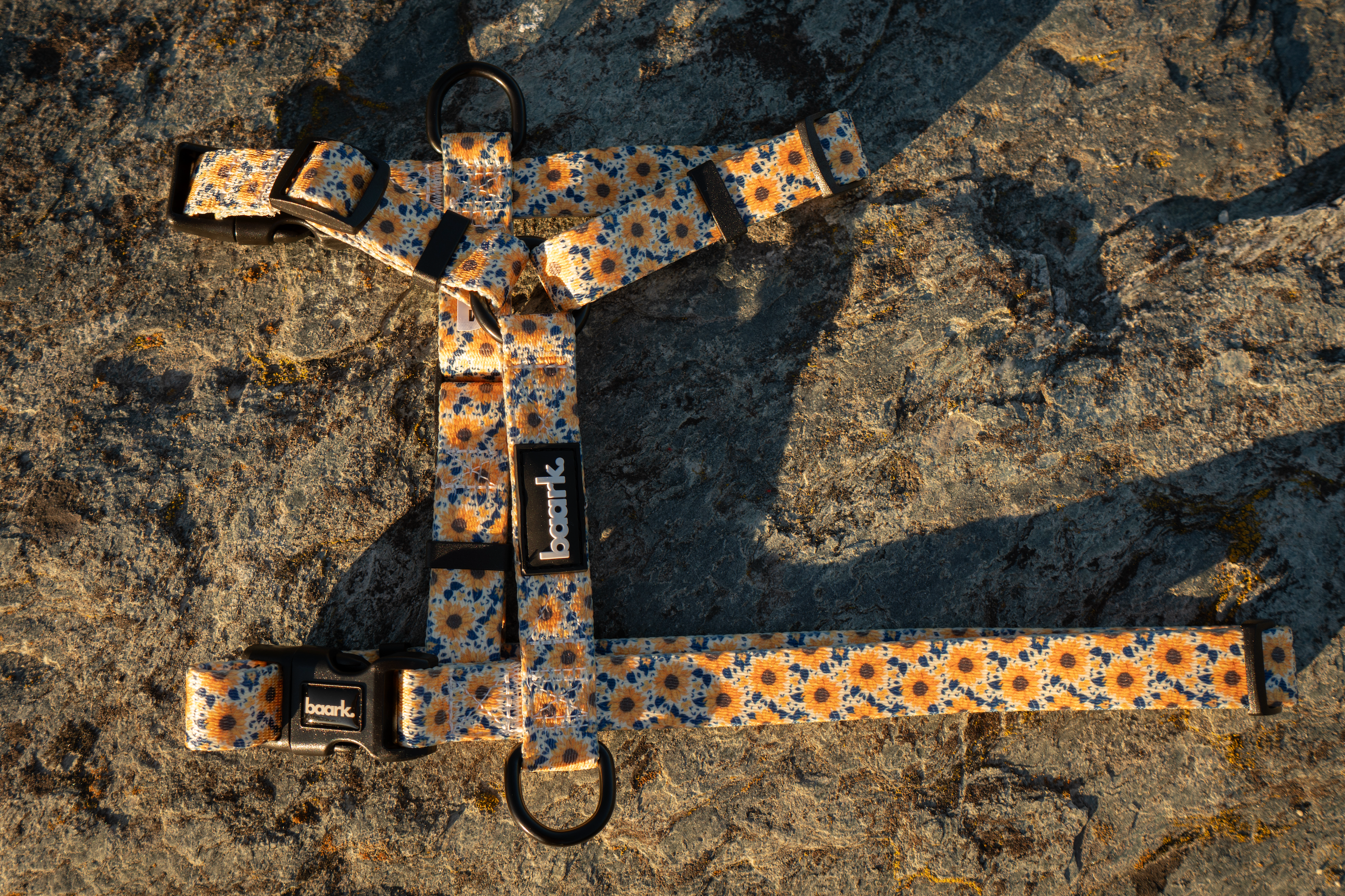 Sunflower H-Style Harness