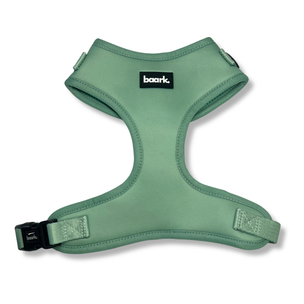 Cool Mint Harness - FINAL SALE