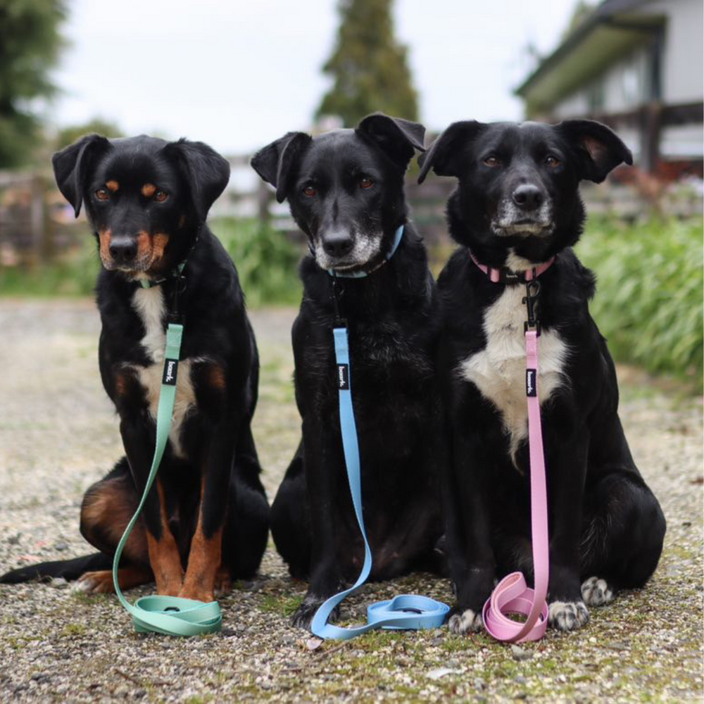 Pretty Pink Lead - FINAL SALE