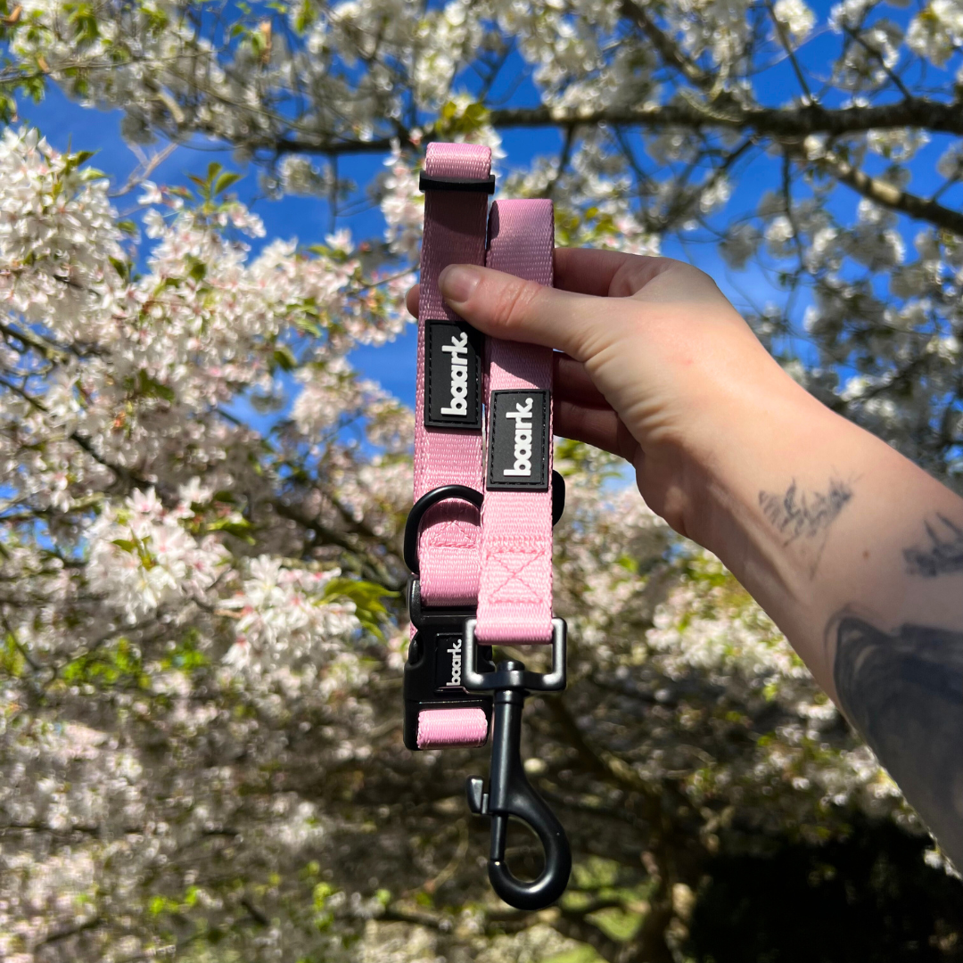 Pretty Pink Collar - FINAL SALE