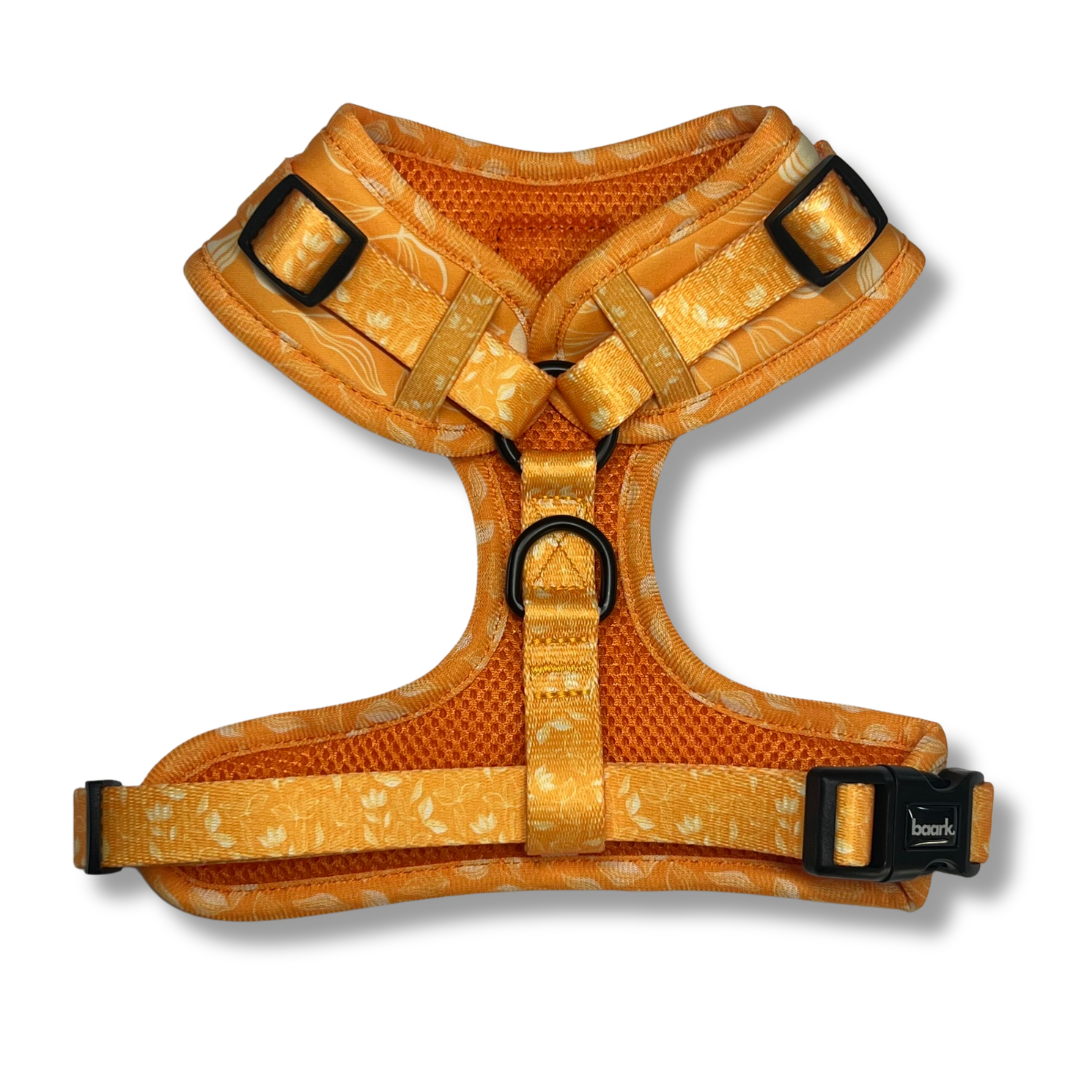 Citrus Bloom Harness - FINAL SALE