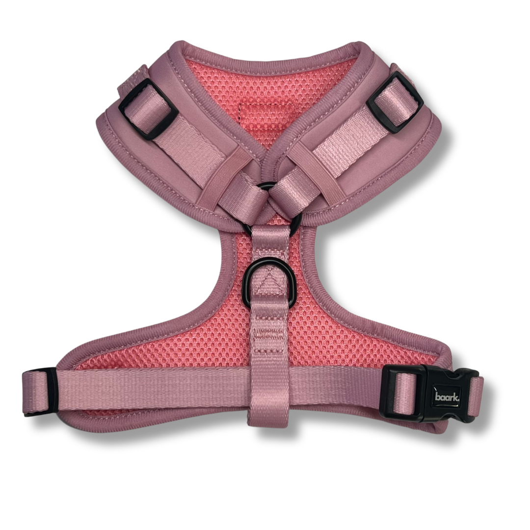 Pretty Pink Harness - FINAL SALE