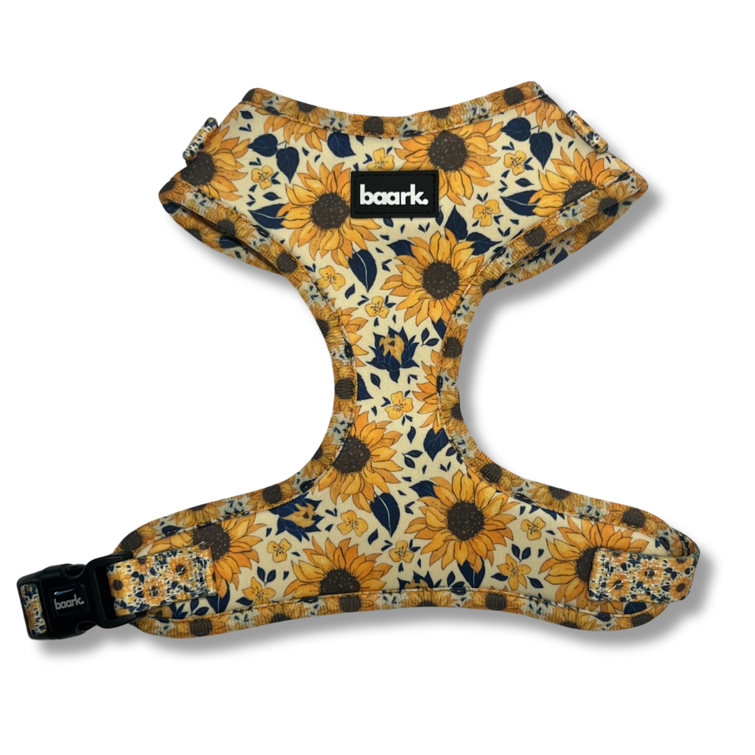 Sunflower Harness