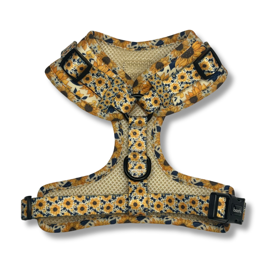 Sunflower Harness