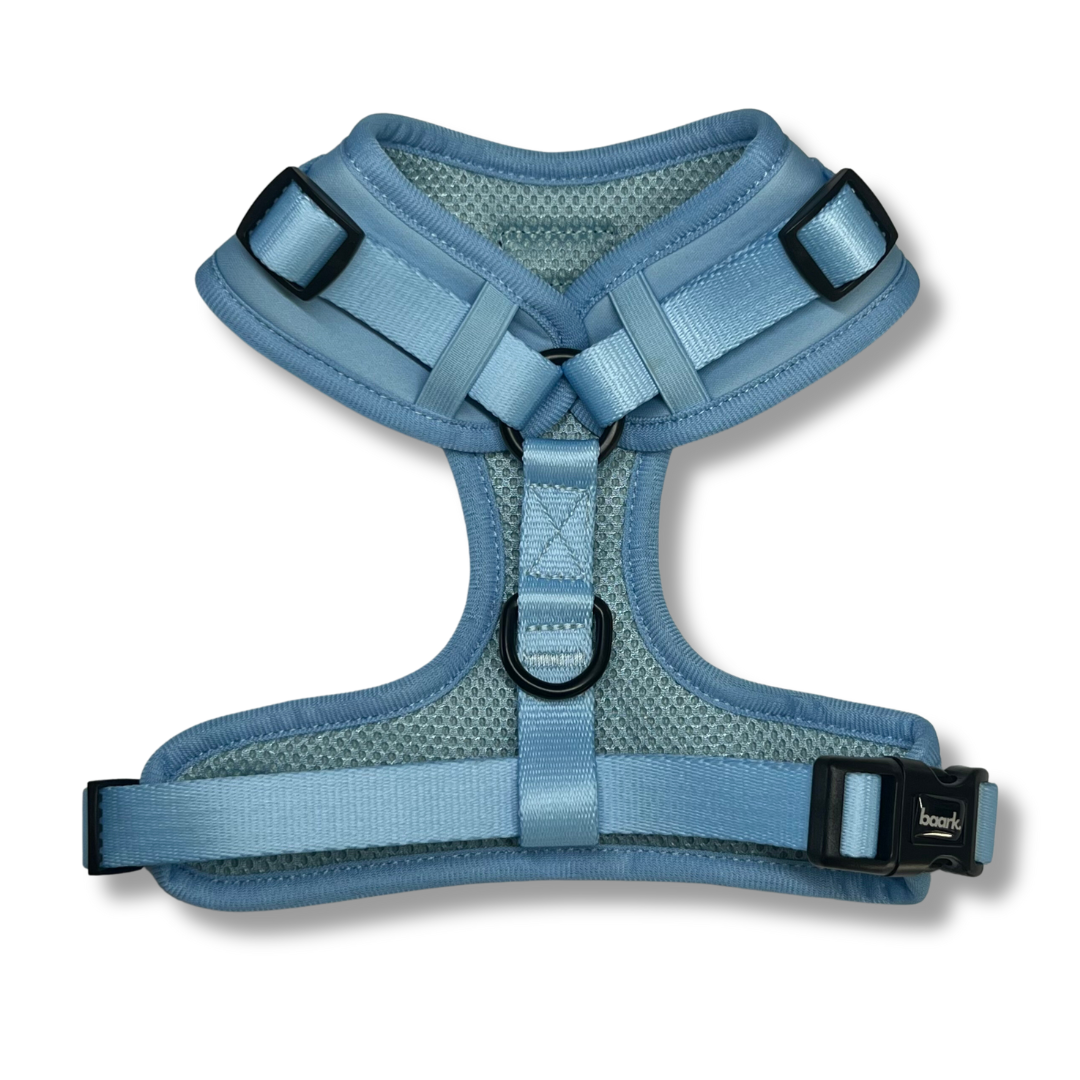 Oasis Harness - FINAL SALE